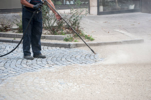 Best Sidewalk and Walkway Cleaning  in Lake Hamilton, FL