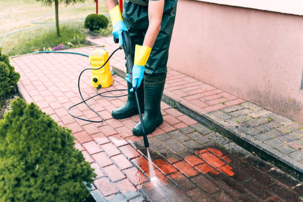Best Driveway Pressure Washing  in Lake Hamilton, FL