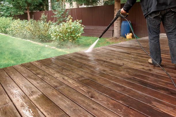 Best Solar Panel Cleaning  in Lake Hamilton, FL
