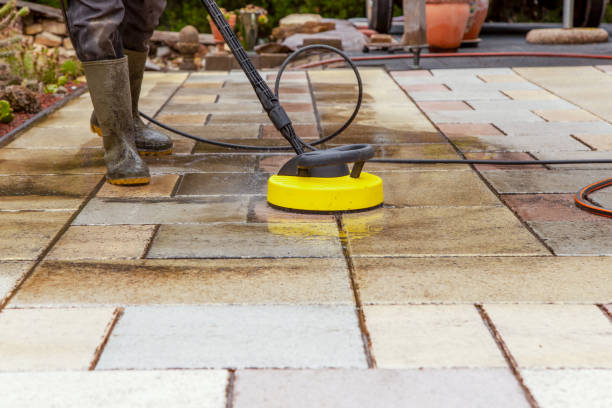 Best Roof Washing  in Lake Hamilton, FL